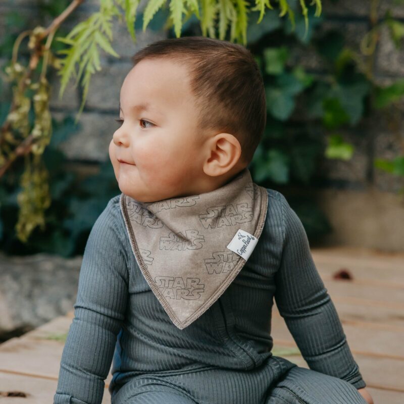 Copper Pearl Tatooine Bandana Bib Set 4-Pack Feeding