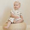 Darla Dress In Bats from Quincy Mae