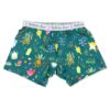 Harry Potter House Pride Bamboo Viscose Brief Boxer Underwear 3-Pack from Bellabu Bear