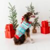 Frosty Fair Isle Bamboo Viscose Pet Sweatshirt