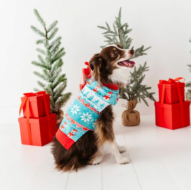 Frosty Fair Isle Bamboo Viscose Pet Sweatshirt