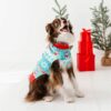 Birdie Bean Frosty Fair Isle Bamboo Viscose Pet Sweatshirt
