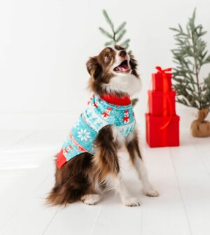 Birdie Bean Frosty Fair Isle Bamboo Viscose Pet Sweatshirt