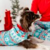 Frosty Fair Isle Bamboo Viscose Pet Sweatshirt from Birdie Bean