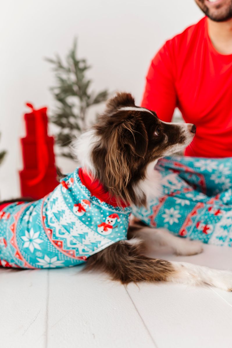Frosty Fair Isle Bamboo Viscose Pet Sweatshirt from Birdie Bean