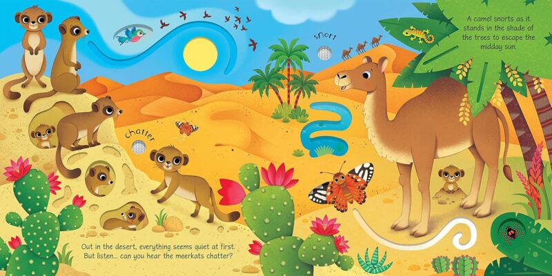 Wild Animals Sound Book Interactive Board Book from HarperCollins