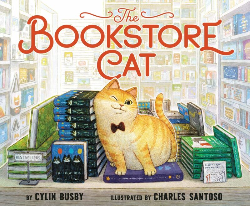 HarperCollins The Bookstore Cat Hardcover Book