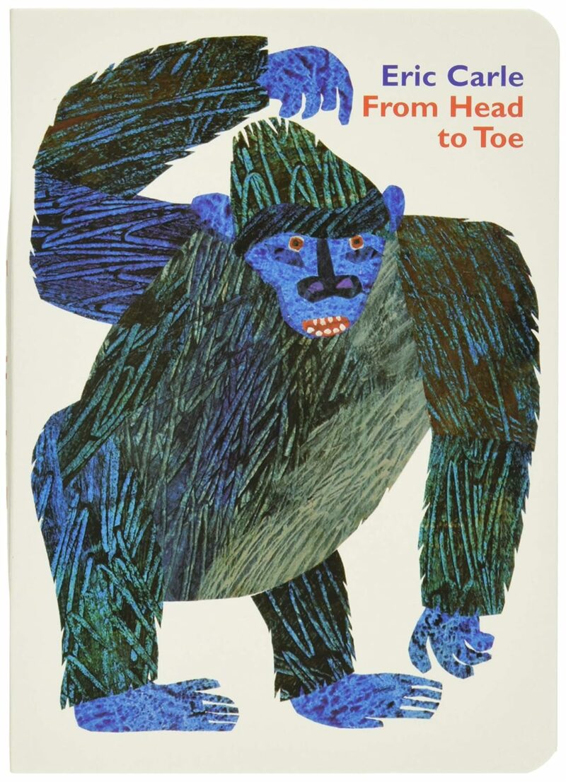 HarperCollins From Head to Toe Board Book