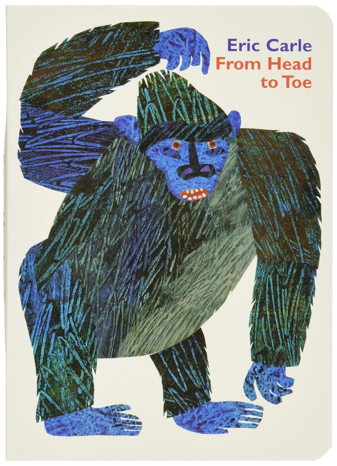 HarperCollins From Head to Toe Board Book