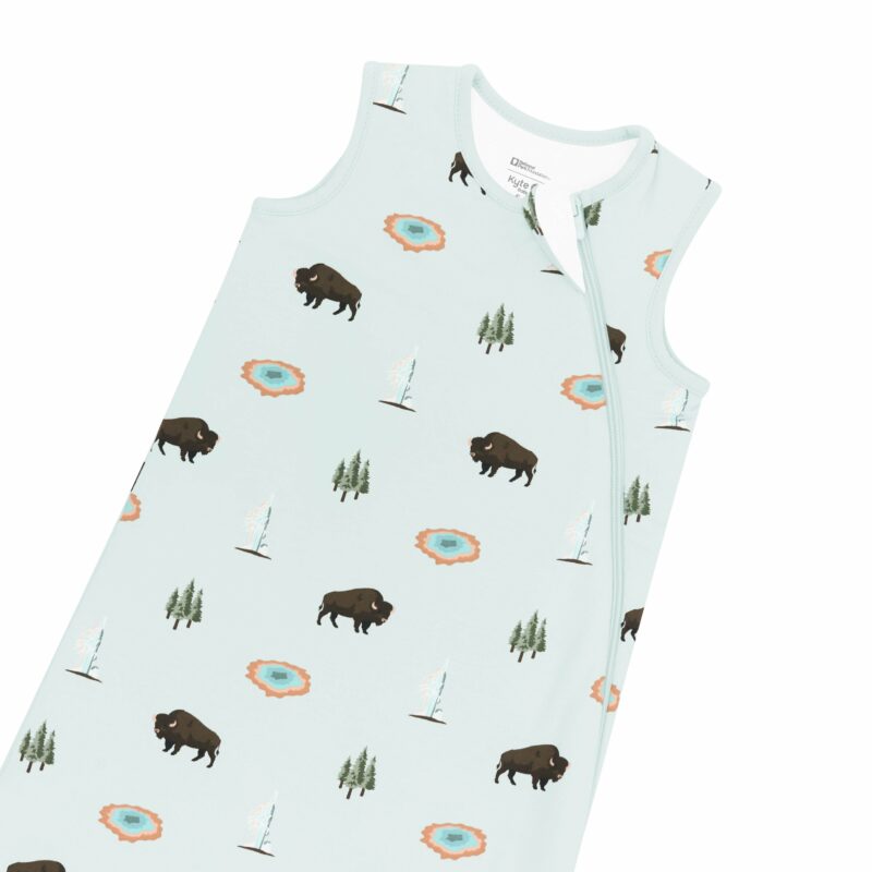 Sleep Bag in Yellowstone 1.0 TOG