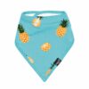 Bib in Pineapple from Kyte BABY