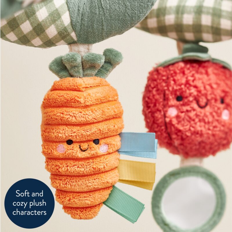 Itzy Ritzy Itzy Bitzy Veggie Spiral Activity Toy part of our  collection