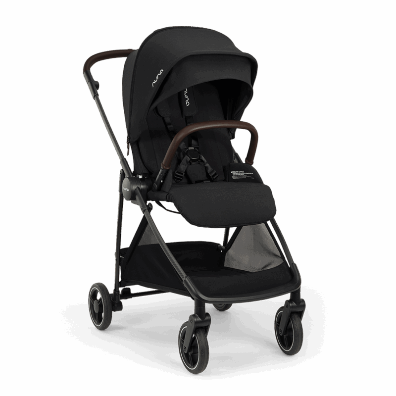 Flex System Stroller Seat from Nuna