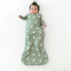 Kyte BABY Sleep Bag in Silly Goose 1.0 TOG