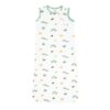 Sleep Bag in The Very Hungry Caterpillar and Friends 0.5 TOG from Kyte BABY