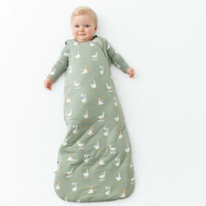 Kyte BABY Sleep Bag in Silly Goose 2.5 TOG