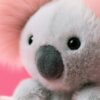Koala with Message from Jellycat