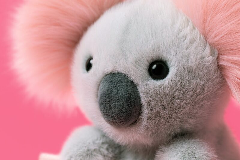 Koala with Message from Jellycat