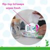Dapple Pacifier Wipes Fragrance Free 40 Ct Baby Care