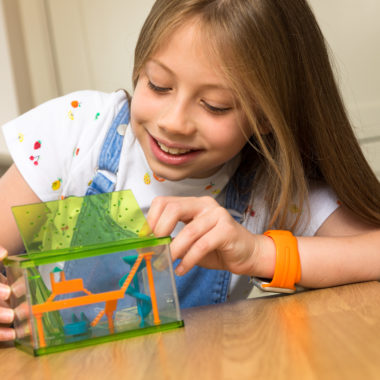 Bug Playground made by EDC Publishing Bug Playground made by EDC Publishing