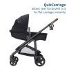CV451GNM_Enhanced_Content11 Maxi Cosi Tayla Max Stroller