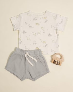 Quincy Mae Boxy Tee In Dinosaur Quincy Mae Boxy Tee In Dinosaur