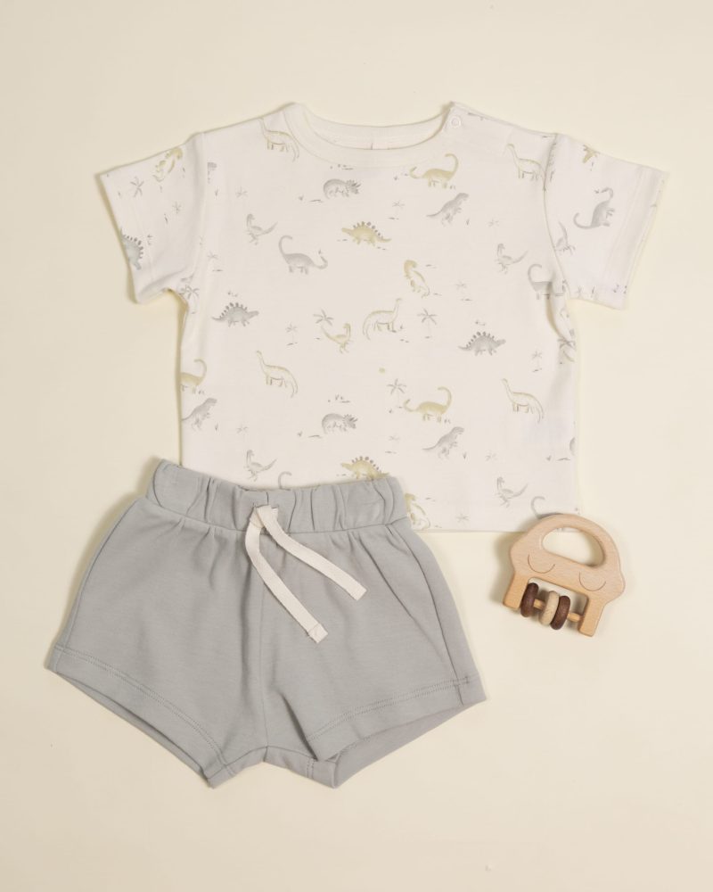 Quincy Mae Boxy Tee In Dinosaur