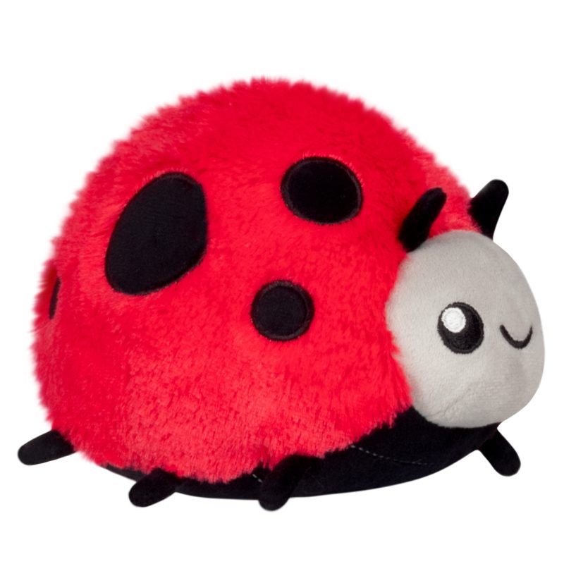 Snacker Ladybug from Squishable Snacker Ladybug from Squishable