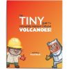 EDC Publishing Tiny Volcanoes Toys