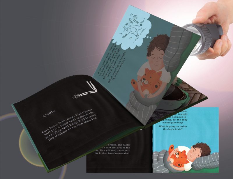 Shine-A-Light: The Human Body made by EDC Publishing