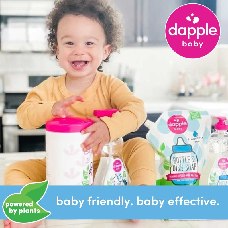 Dapple Pacifier Wipes Fragrance Free 40 Ct