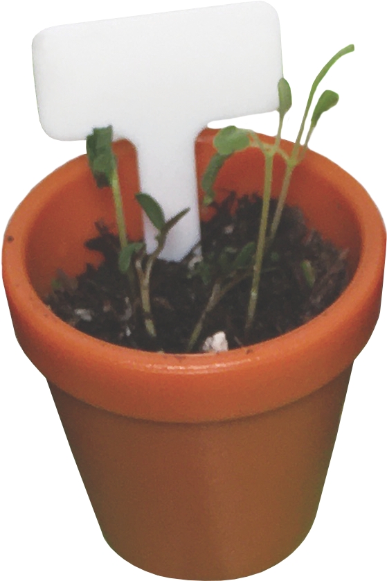 EDC Publishing Tiny Gardening! Toys