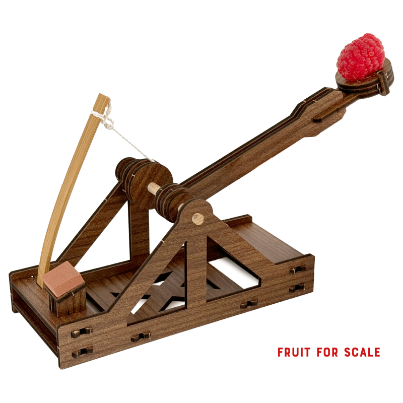 Mini Catapult Wooden Engineering Model Building Kit from Copernicus Toys