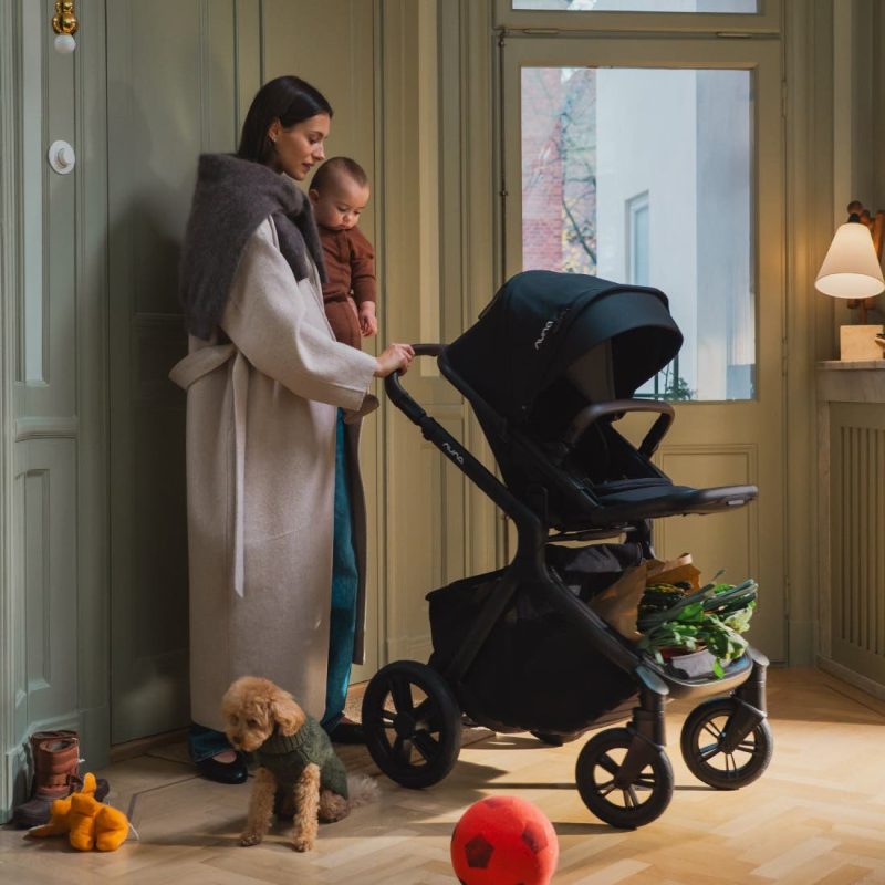 Demi Icon Stroller from Nuna