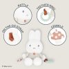 Miffy Baby Ragdoll Activity Toy from Kids Preferred Miffy Baby Ragdoll Activity Toy from Kids Preferred