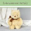 Disney Classic Pooh Small Floppy Plush Pooh from Kids Preferred Disney Classic Pooh Small Floppy Plush Pooh from Kids Preferred