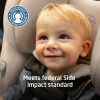 Maxi Cosi Pria Max All-in-One Convertible Car Seat
