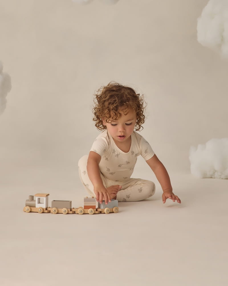 Bamboo Short Sleeve Pajama Set in Elephants from Quincy Mae