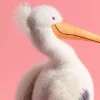 Keli Pelican from Jellycat