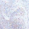 Glitter Gel Body & Hair White made by Piggy Paint