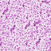 Piggy Paint Glitter Gel Body & Hair Neon Purple Baby Care Piggy Paint Glitter Gel Body & Hair Neon Purple Baby Care