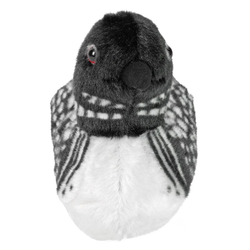 Audobon Birds with Bird Calls Common Loon from Wild Republic