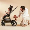 Oxford Modular Travel System from Maxi-Cosi Oxford Modular Travel System from Maxi-Cosi