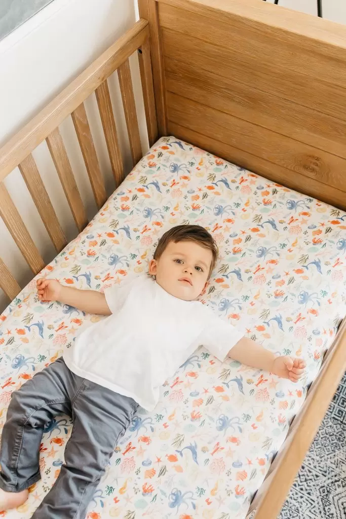 Copper Pearl Nautical Premium Crib Sheet Blossom