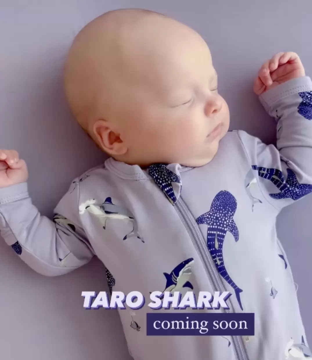 Taro Shark Kyte BABY Summer Print