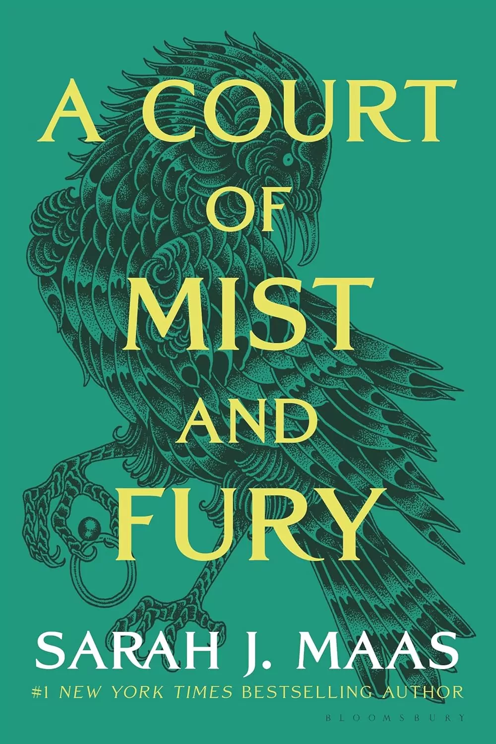 Macmillan Publishers A Court Of Mist And Fury Adult Paperback by Sarah J Maas