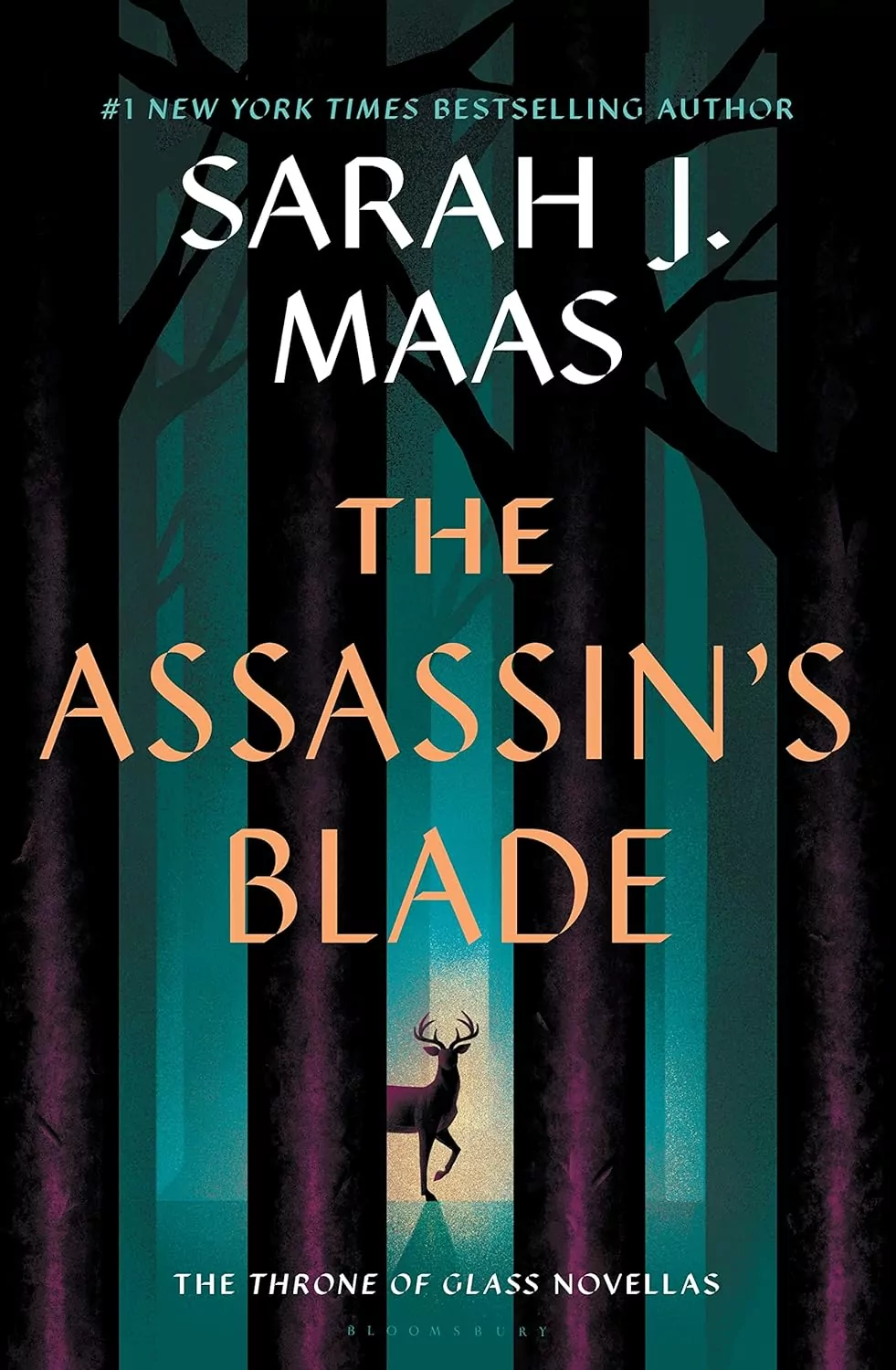 Macmillan Publishers Assassins Blade: The Throne of Glass Prequel Novellas by Sarah J Maas
