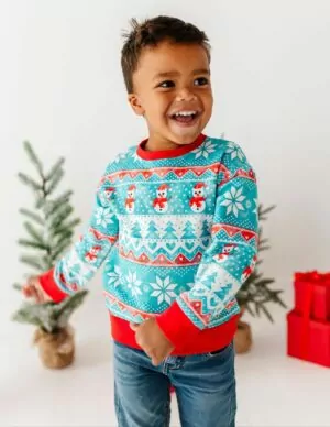 Birdie Bean Frosty Fair Isle Bamboo Viscose Crewneck Sweatshirt
