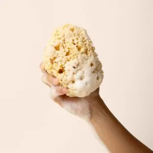 Kyte BABY Sea Sponge